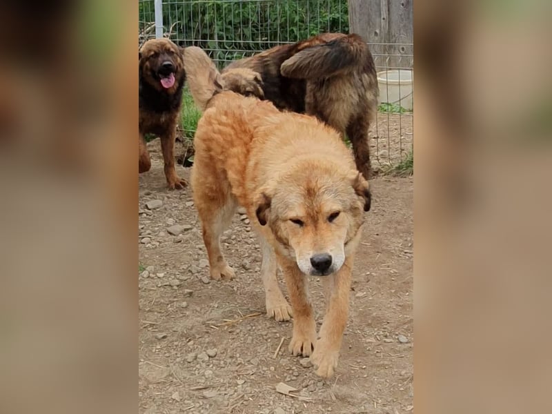 menschenbezogene Praha sucht