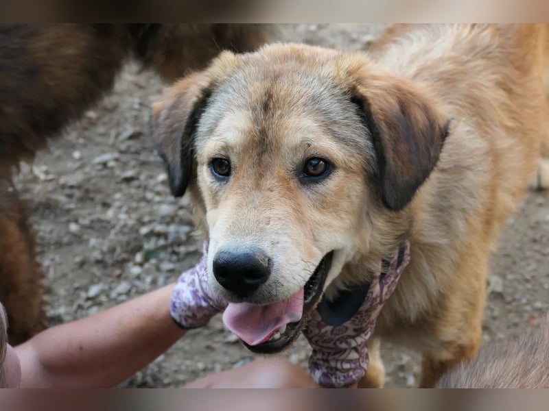 menschenbezogene Praha sucht