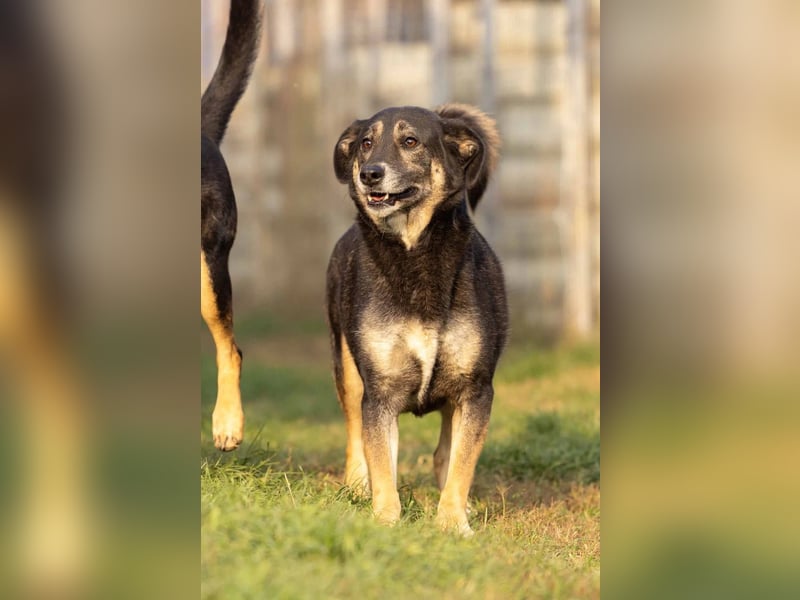 zuckersüsse Bubulina sucht ihren Lieblingsmenschen