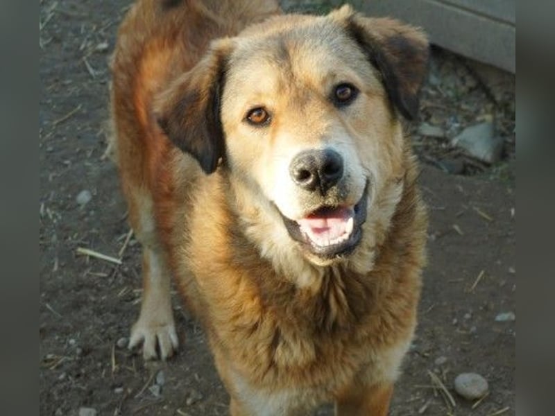 liebe und wunderschöne Praha