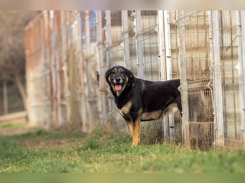zuckersüsse Bubulina sucht ihren Lieblingsmenschen