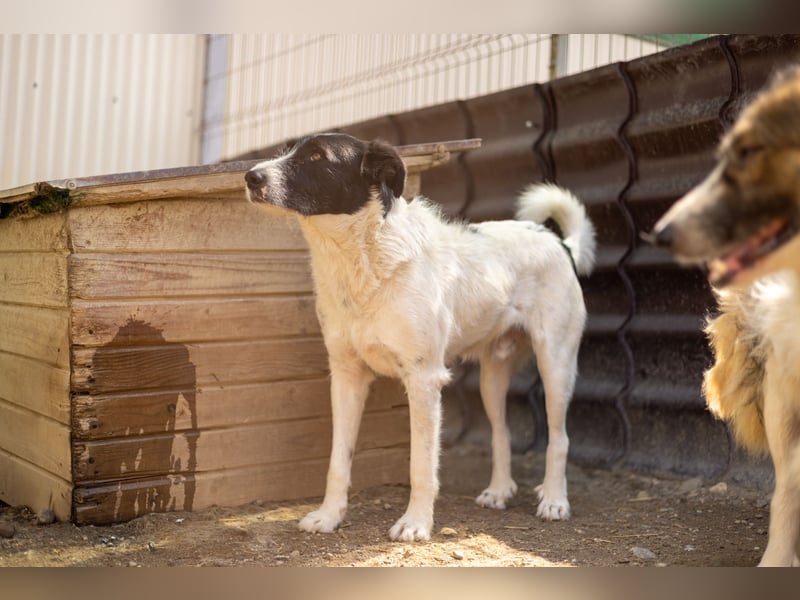 Liebenswerter Eric sucht seine Familie