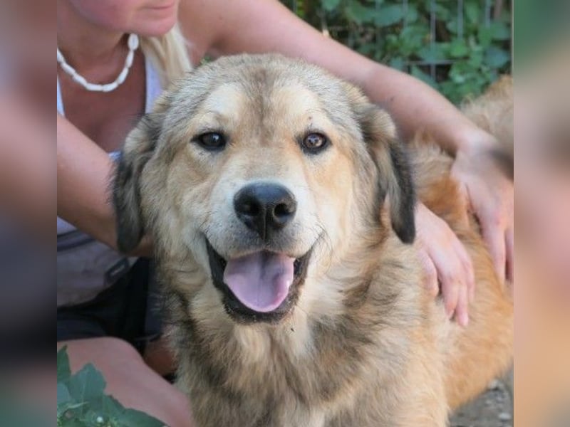 liebe und wunderschöne Praha