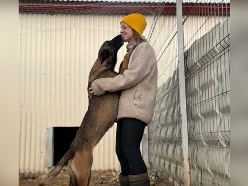 menschenbezogene, liebe Gina sucht dringend ihre Menschen
