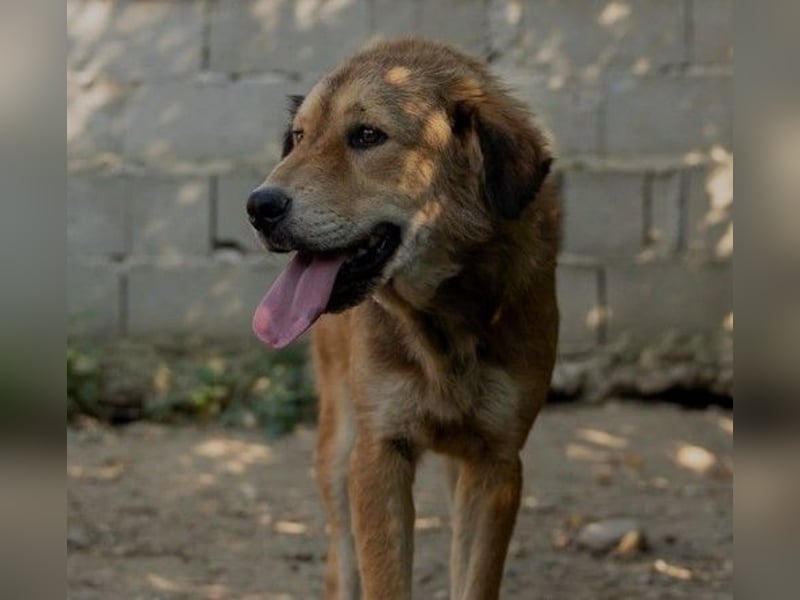 liebe und wunderschöne Praha