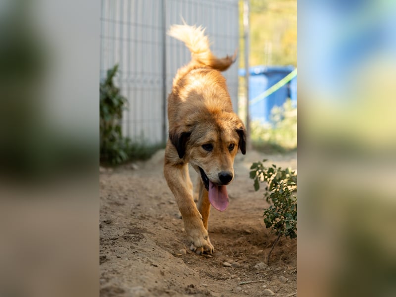 menschenbezogene Praha sucht