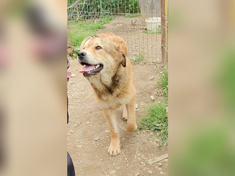 menschenbezogene Praha sucht