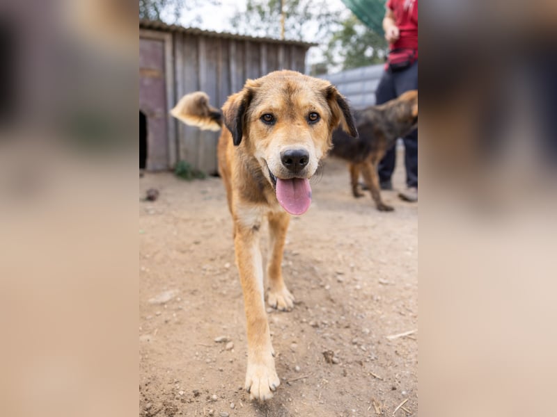 menschenbezogene Praha sucht