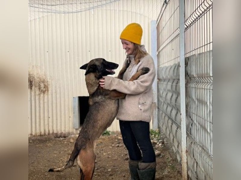 menschenbezogene, liebe Gina sucht dringend ihre Menschen