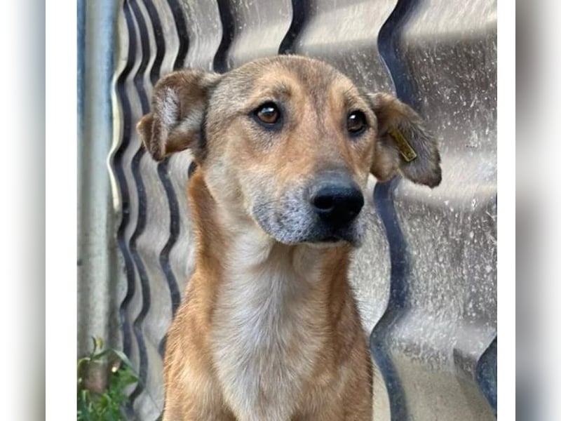 wundervolle, sanfte Janika auf der Suche nach ihren Herzensmenschen 