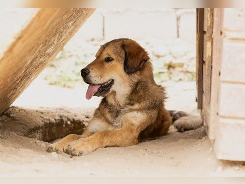 liebe und wunderschöne Praha