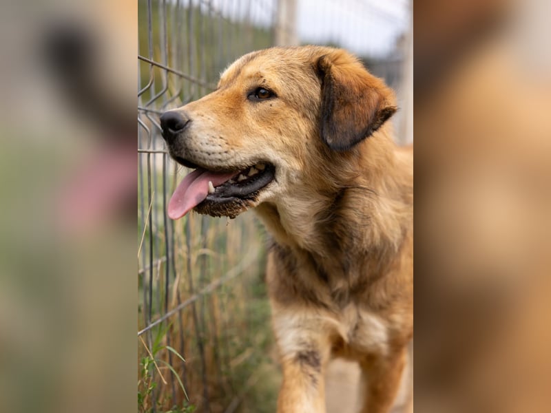 menschenbezogene Praha sucht