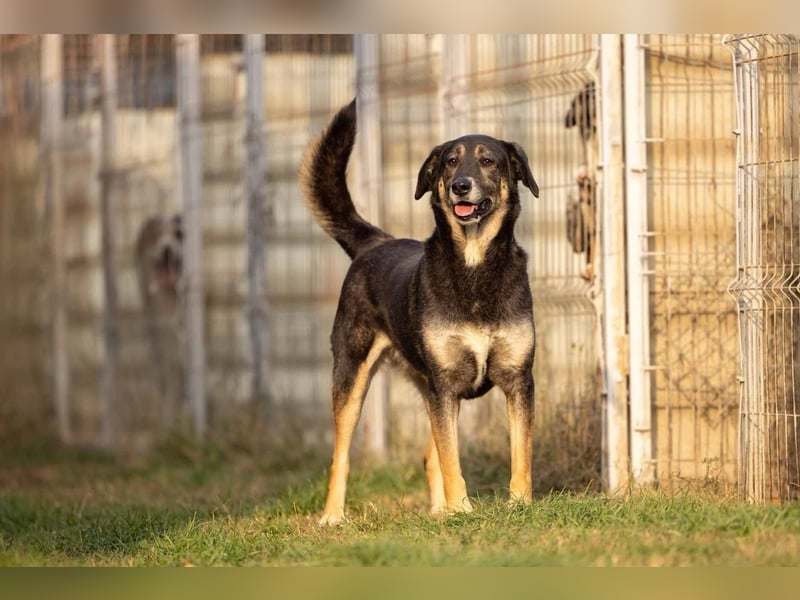 Bubulina sucht geduldiges Zuhause