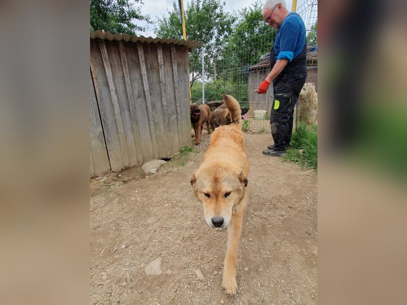 menschenbezogene Praha sucht