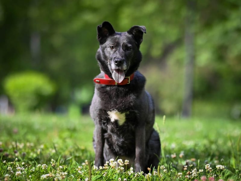 PUMA- aktiv und voller Energie