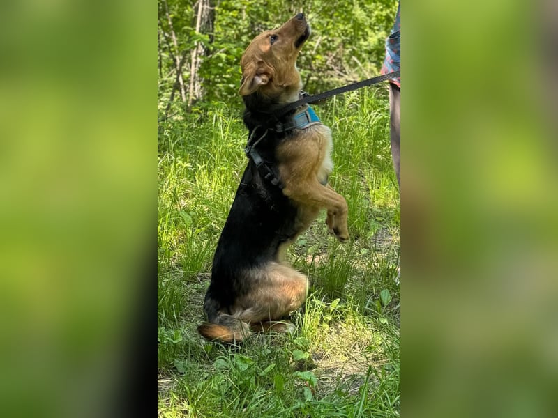 GERDA - sucht Anschluss