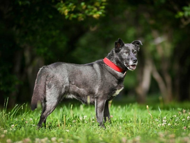 PUMA-sucht aktive Familie