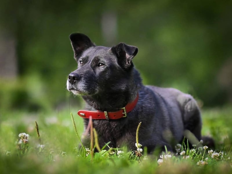 PUMA-sucht aktive Familie
