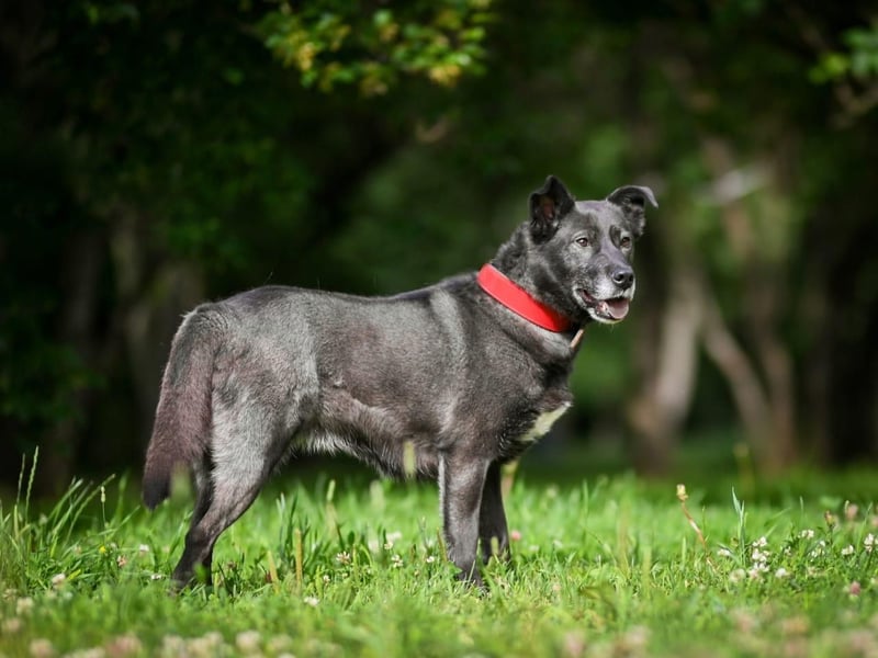 PUMA- aktiv und voller Energie