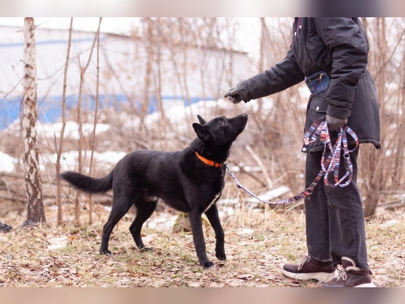 RALF- möchte eine 2.Chance