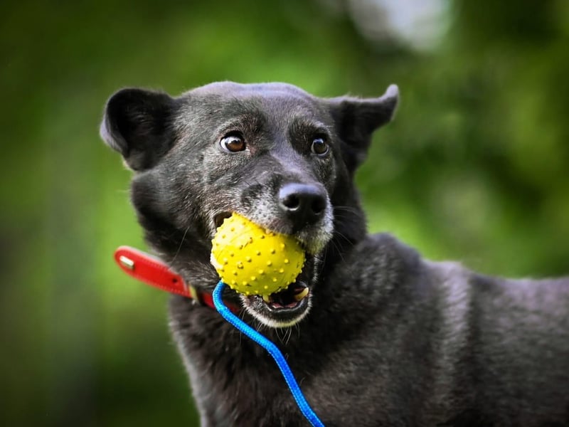 PUMA- aktiv und voller Energie
