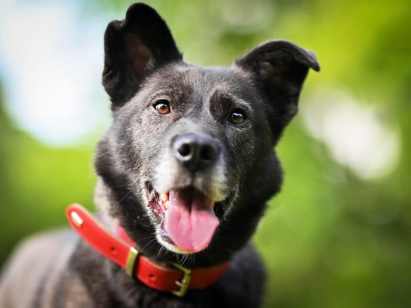 PUMA- aktiv und voller Energie