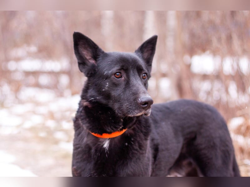 RALF- möchte eine 2.Chance