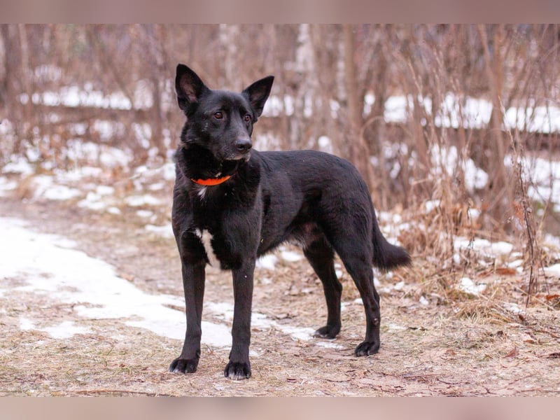 RALF- möchte eine 2.Chance