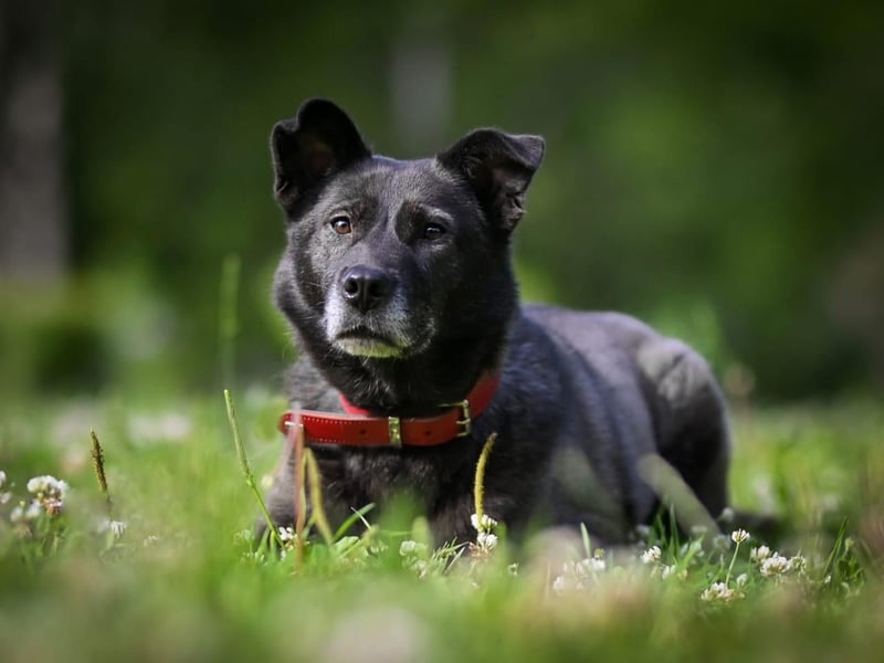 PUMA- aktiv und voller Energie