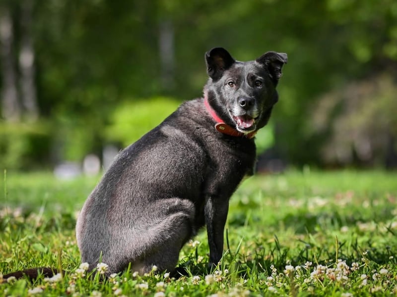 PUMA- aktiv und voller Energie