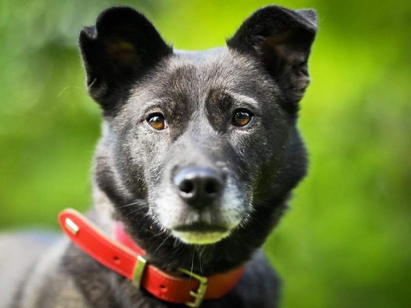 PUMA- aktiv und voller Energie