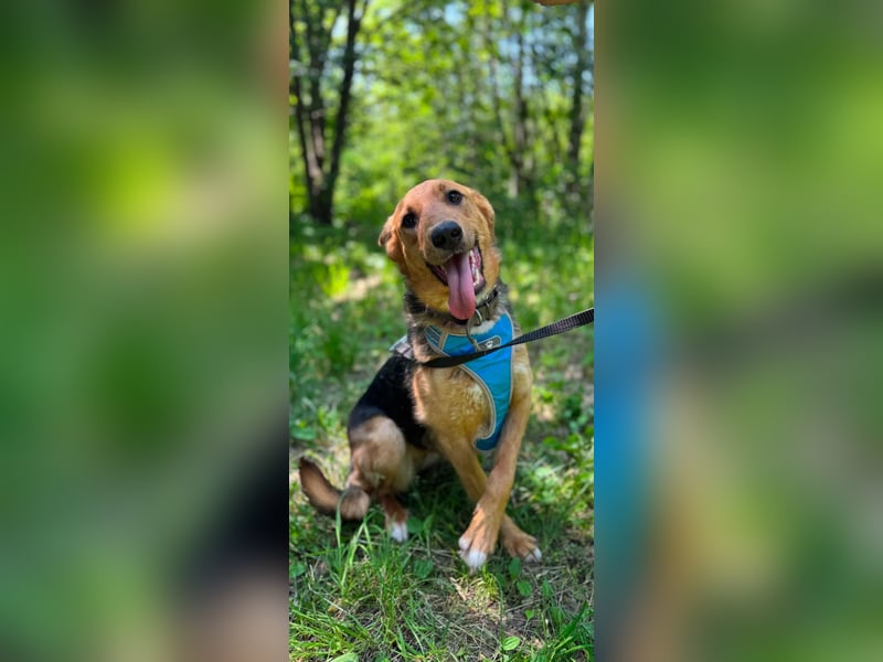 GERDA - sucht Anschluss