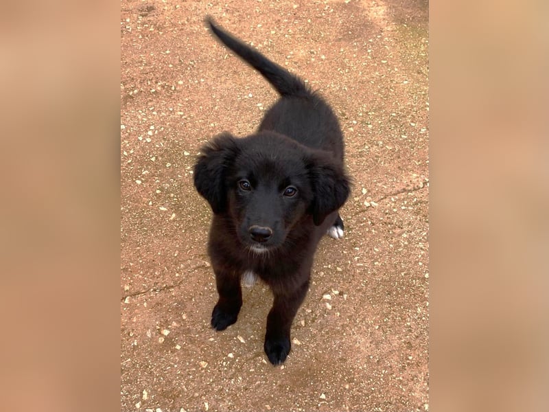 YIN sucht Familienanschluß