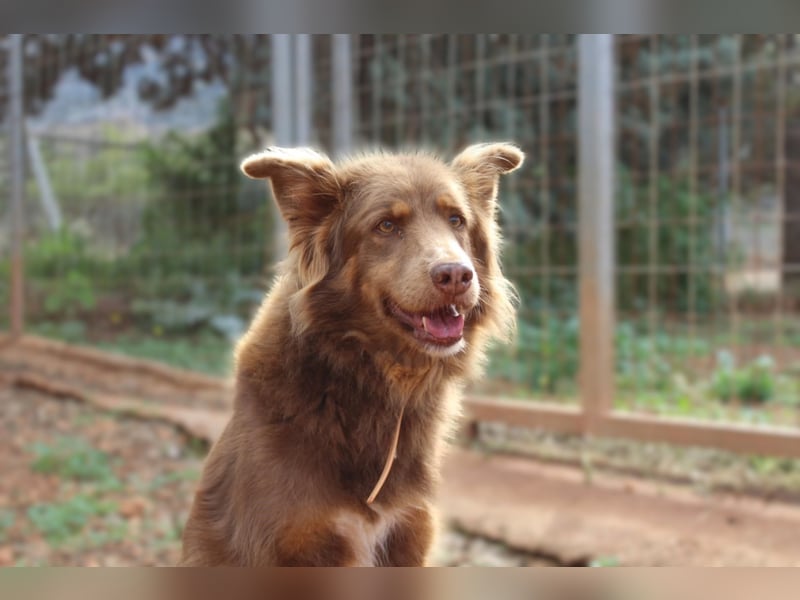 RIBO wünscht sich ein eigenes zu Hause