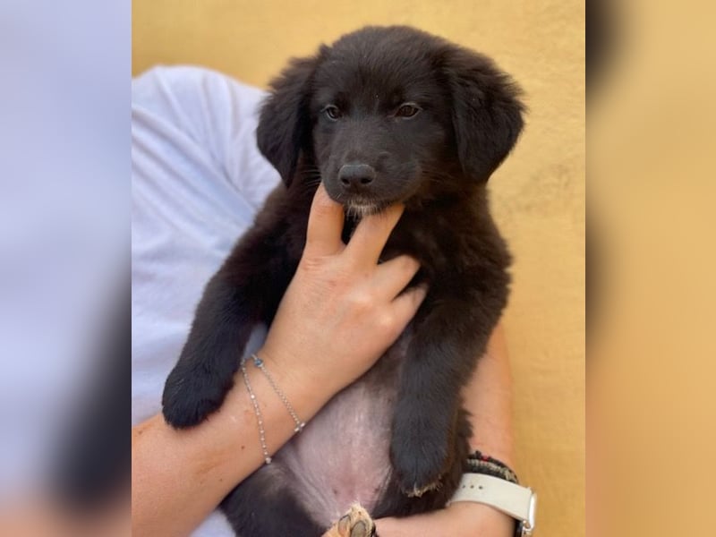 YIN sucht Familienanschluß