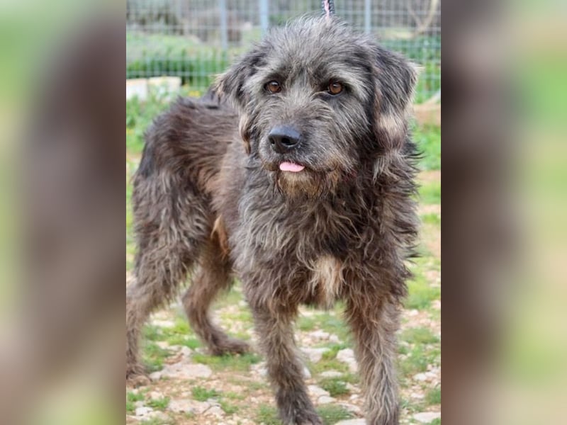TROY  wünscht sich eine eigene Familie