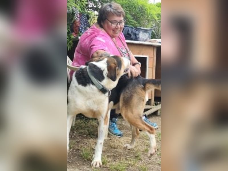 - Lelekas wartet in 49324 Melle -