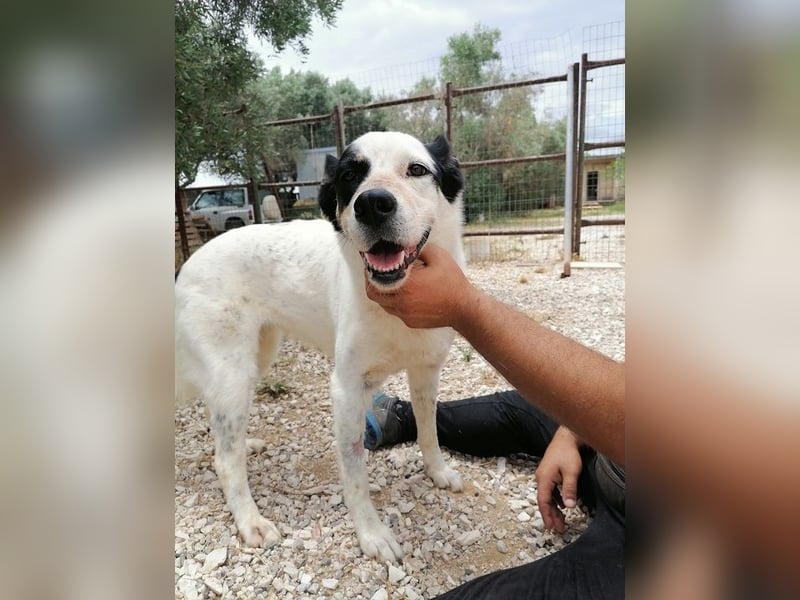 Vienna - gestern zuhause, heute Shelter – der Schock sitzt tief