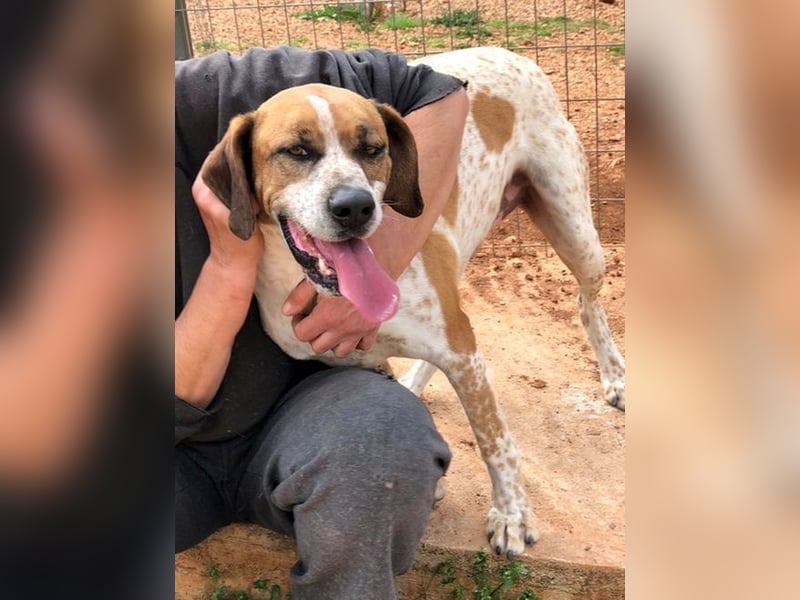 Markos - er ist voller Energie, aber auch äußerst zärtlich