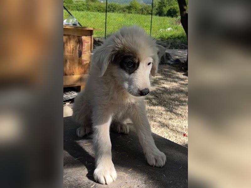 Lulu K mit dem süßen Strubbel-Kopf