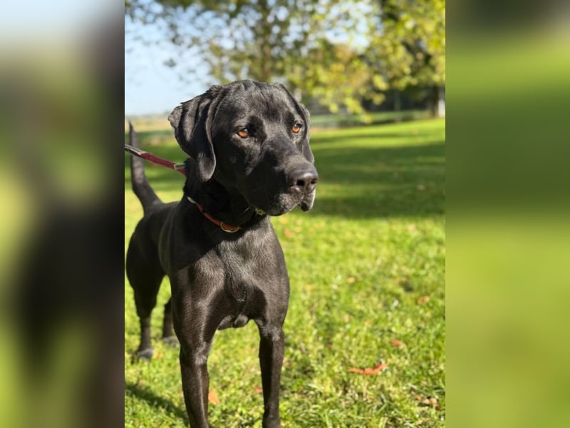 Berg - ruhiges, konsequentes Zuhause gesucht