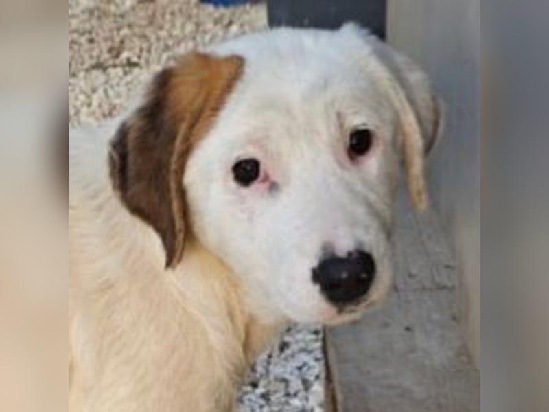 Noli - mit vorsichtigem Blick hinein ins Abenteuer