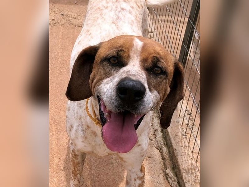 Markos - er ist voller Energie, aber auch äußerst zärtlich