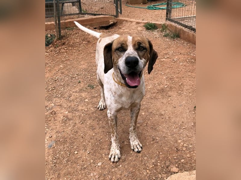 Markos - er ist voller Energie, aber auch äußerst zärtlich