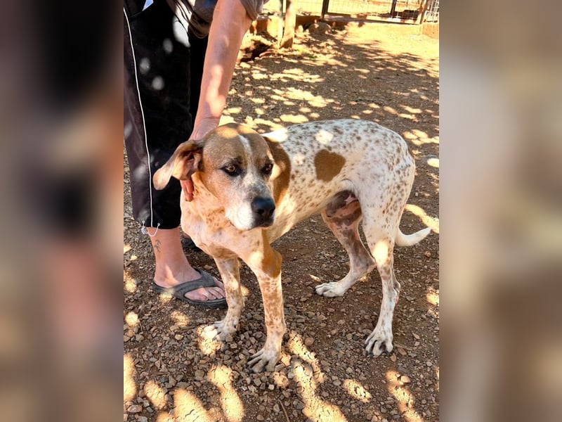 Markos - er ist voller Energie, aber auch äußerst zärtlich