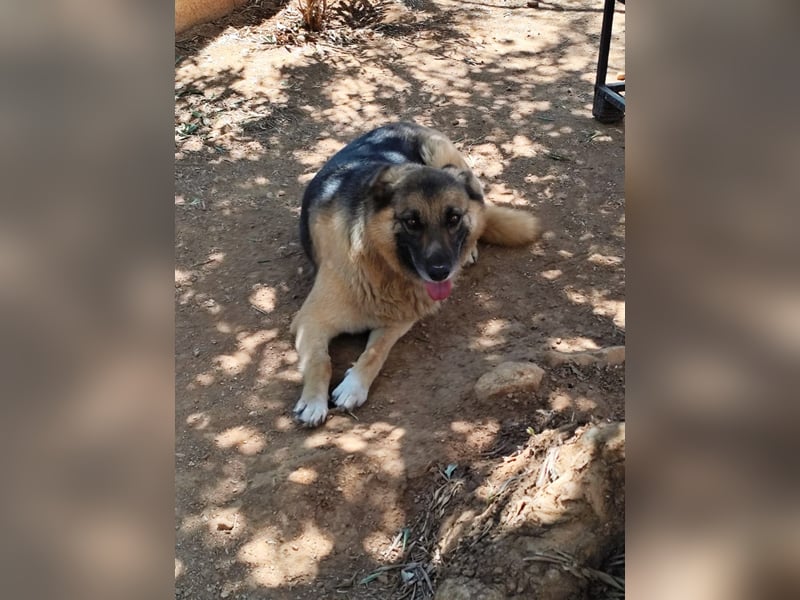 Emma - sie wartet schon so lange. Nur, weil sie Fremden nicht gleich um den Hals fällt?