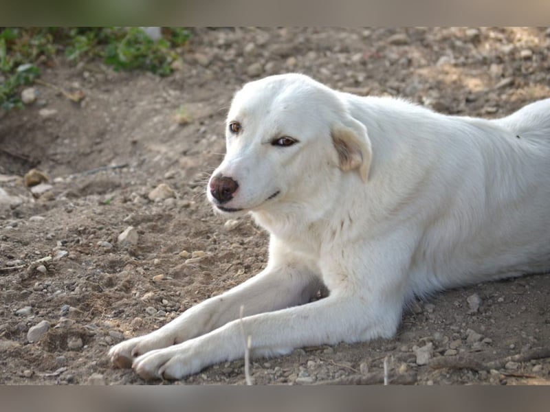 Nelia, bereit für ein Leben voller Liebe