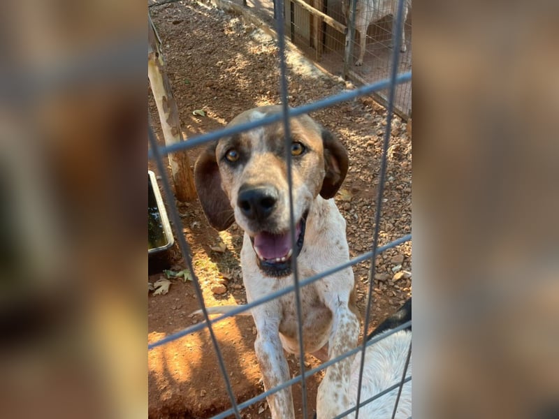 Markos - er ist voller Energie, aber auch äußerst zärtlich