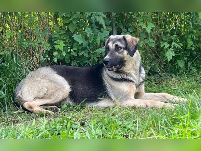 Liebe Claire wartet schon seit fast vier Jahren