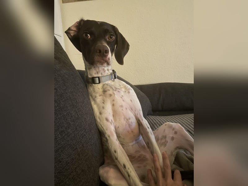 Lottie - Wirbelwind sucht Neustart